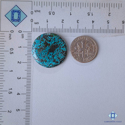 Tibetan Turquoise