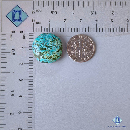 Tibetan Turquoise