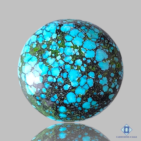 Tibetan Turquoise