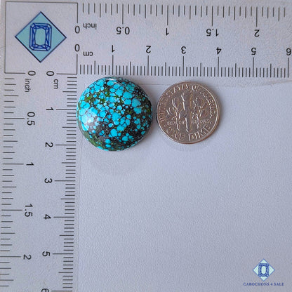 Tibetan Turquoise