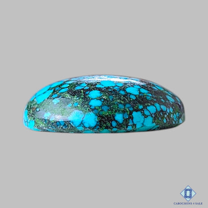 Tibetan Turquoise