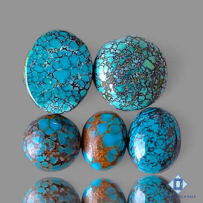 Tibetan Turquoise