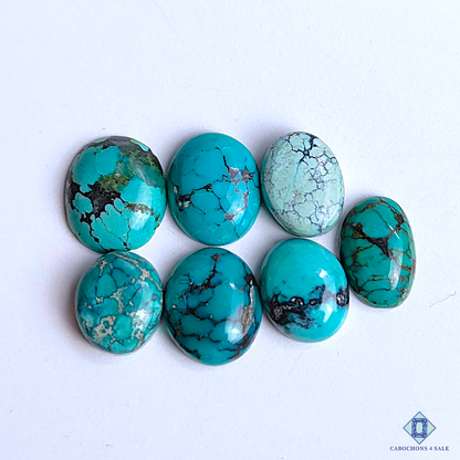 Tibetan Turquoise