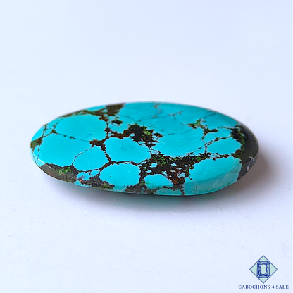 Tibetan Turquoise