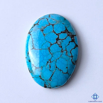 Tibetan Turquoise