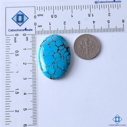 Tibetan Turquoise