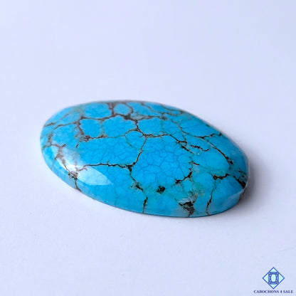 Tibetan Turquoise