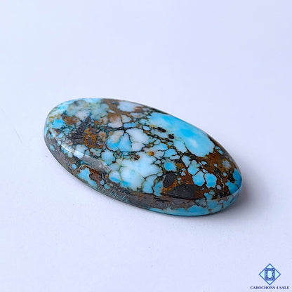 Tibetan Turquoise