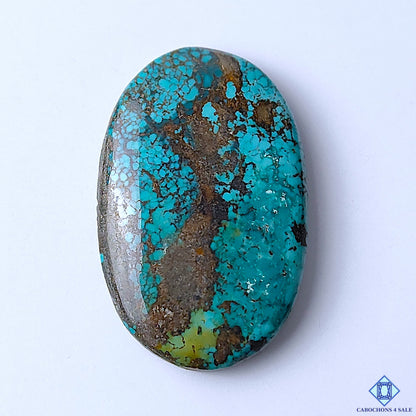 Tibetan Turquoise