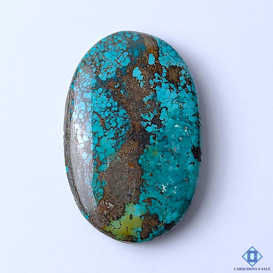 Tibetan Turquoise