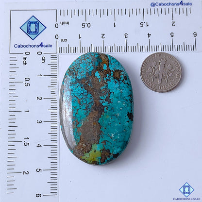 Tibetan Turquoise