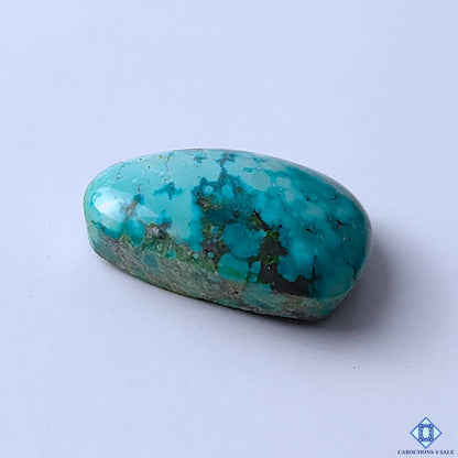 Tibetan Turquoise