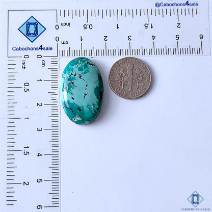Tibetan Turquoise