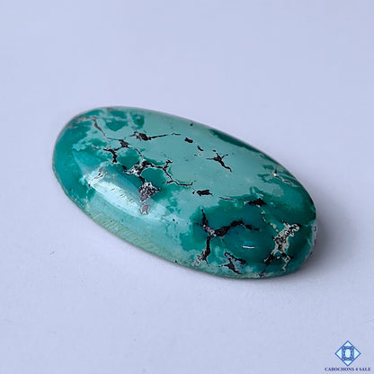 Tibetan Turquoise