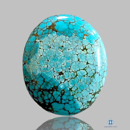 Tibetian Turquoise