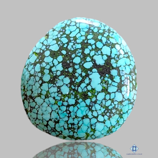 Tibetian Turquoise