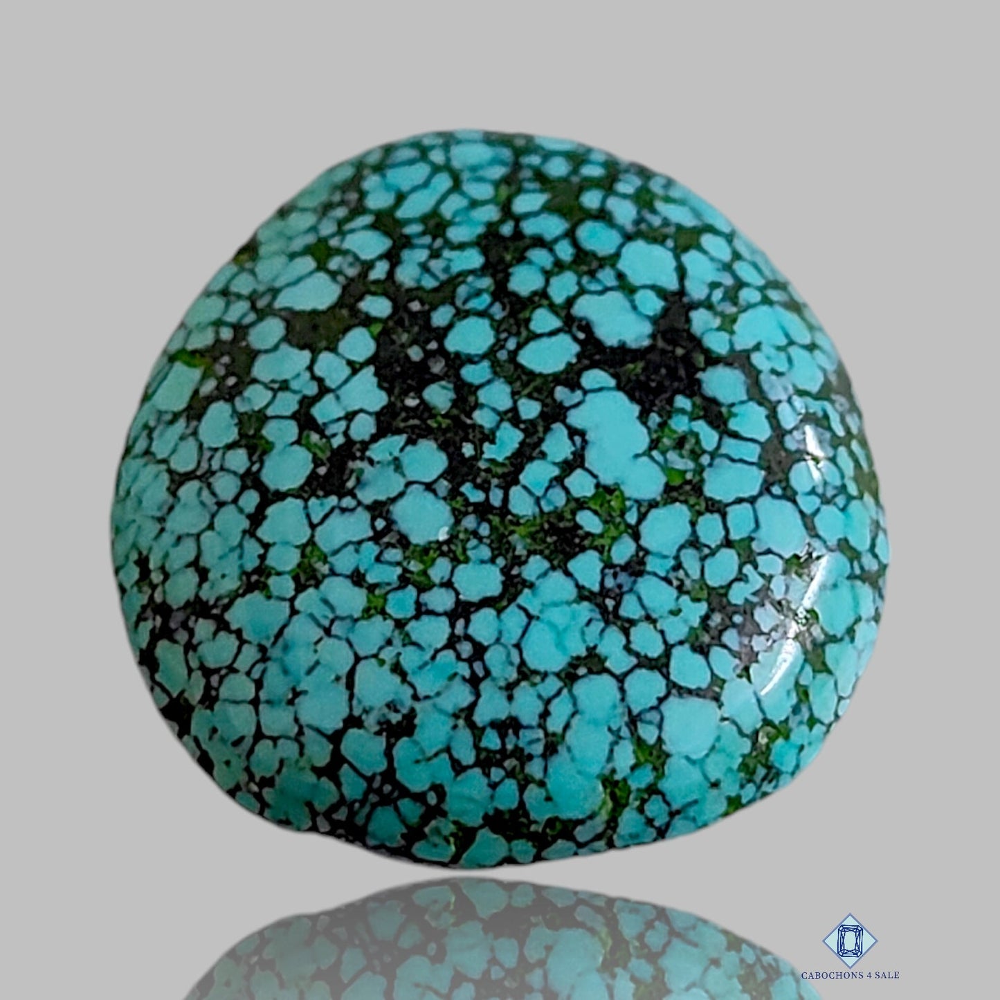 Tibetian Turquoise Round Cabochons