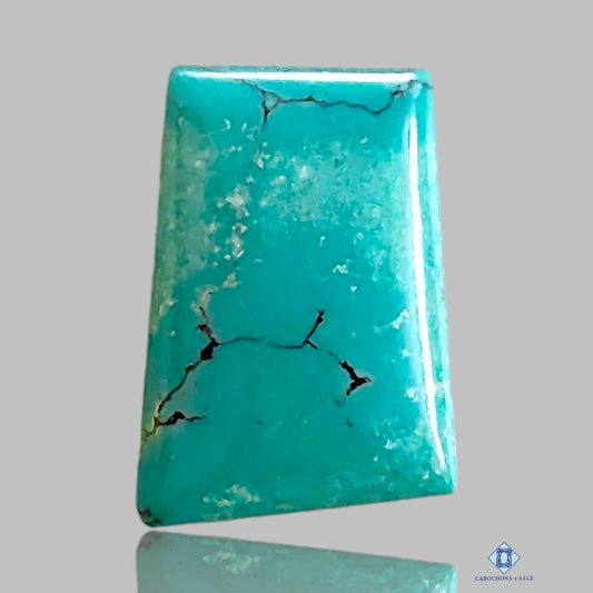 Tibetian Turquoise