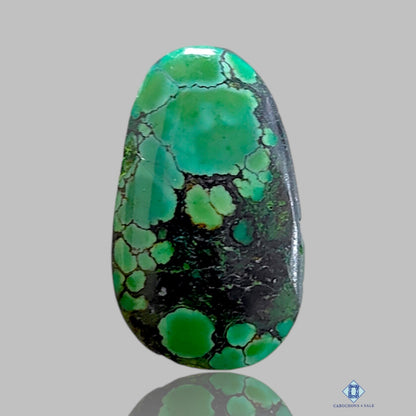 Tibetian Turquoise