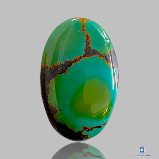 Tibetian Turquoise