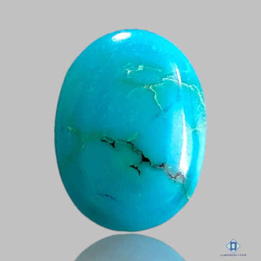 Tibetian Turquoise