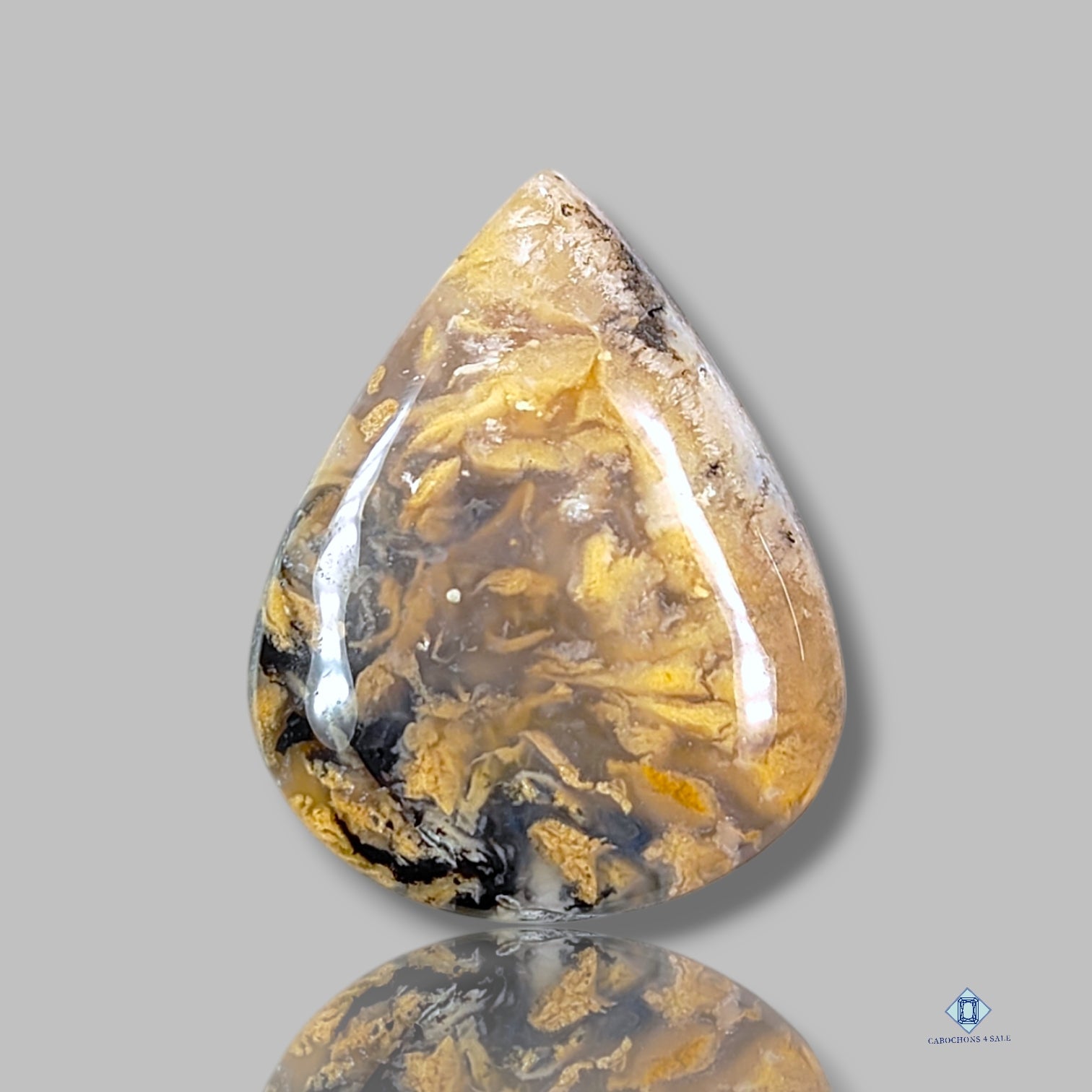 Tiger Dendrite Agate