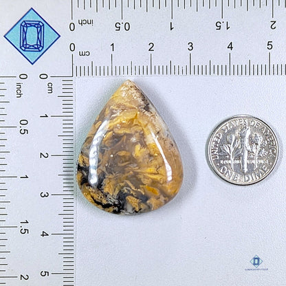 Tiger Dendrite Agate Pear Cabochons