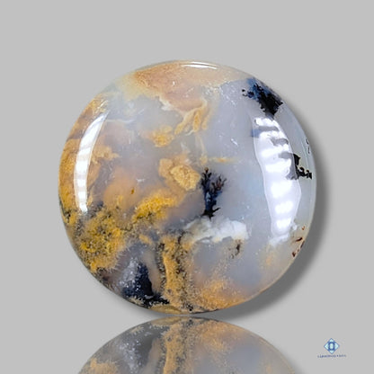 Tiger Dendrite Agate