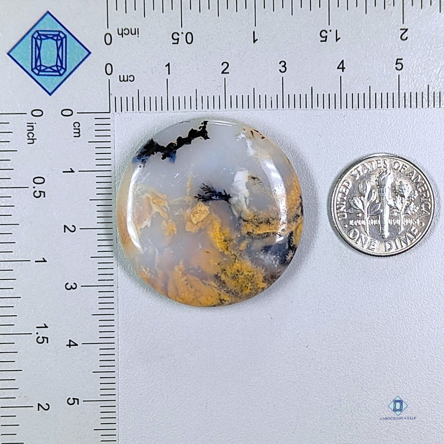 Tiger Dendrite Agate Round Cabochons