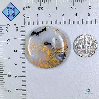 Tiger Dendrite Agate Round Cabochons