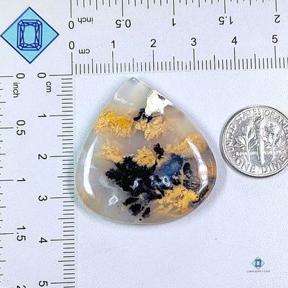 Tiger Dendrite Agate Pear Cabochons