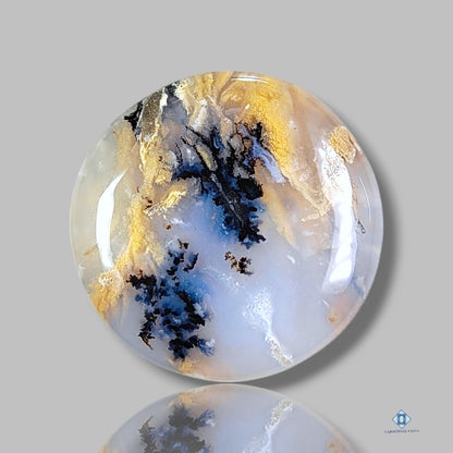 Tiger Dendrite Agate