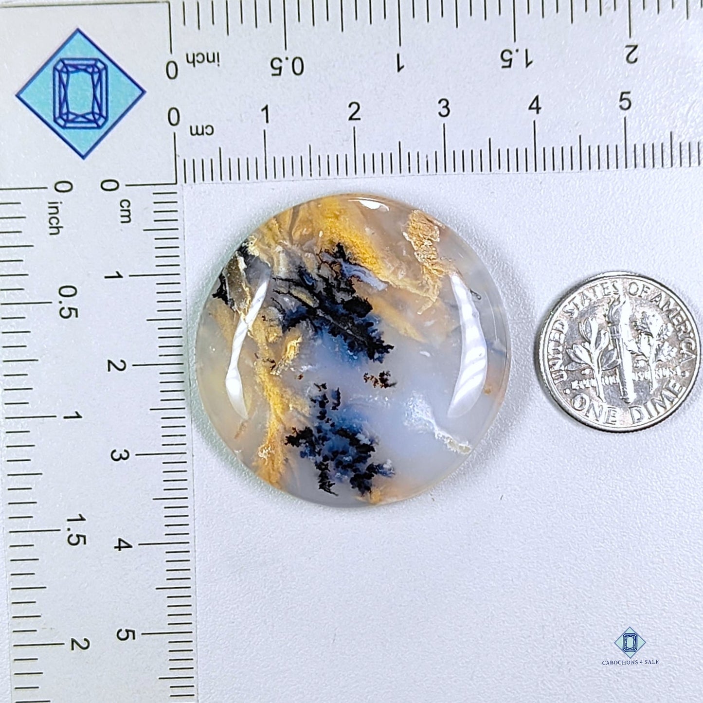 Tiger Dendrite Agate Round Cabochons