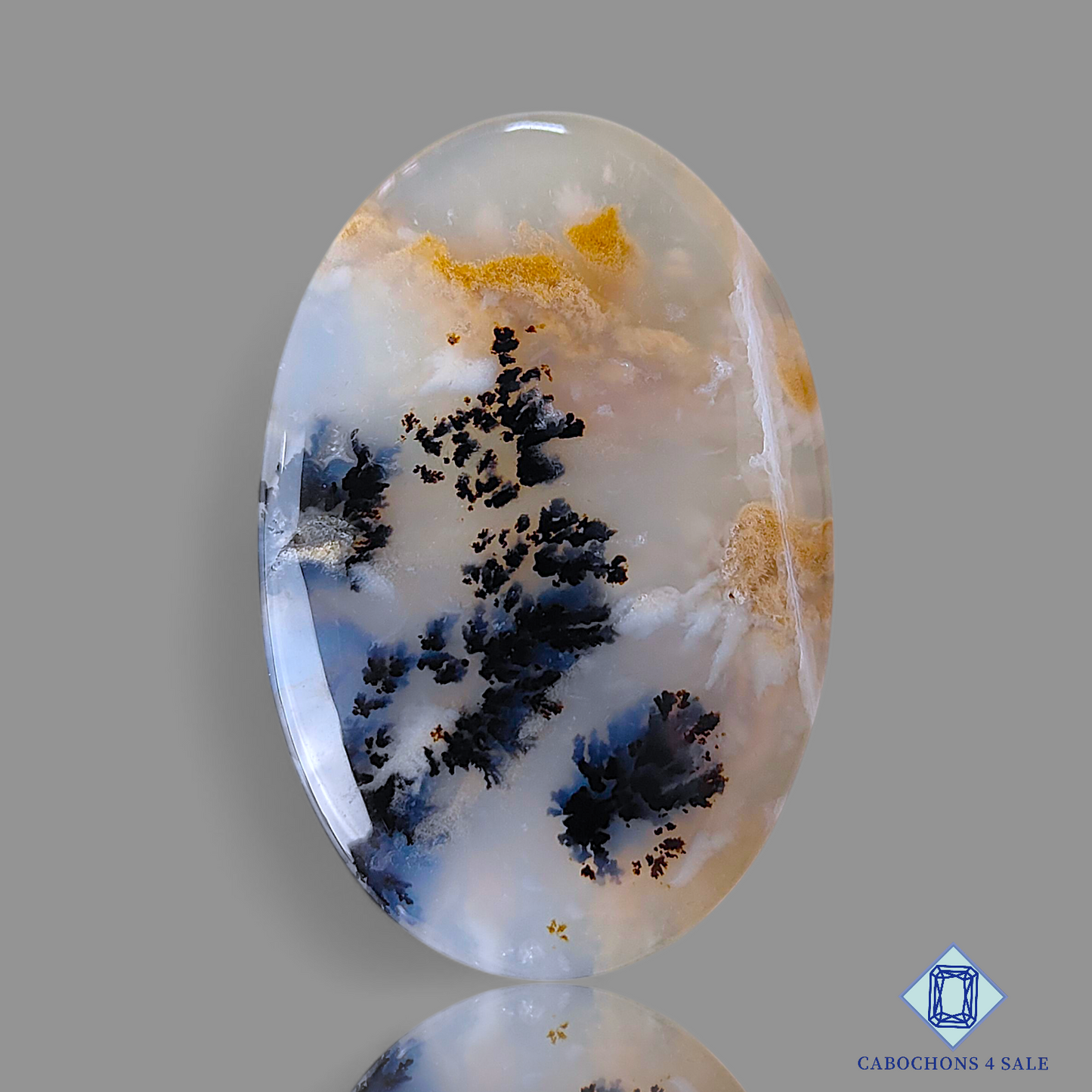 Tiger Dendritic Agate