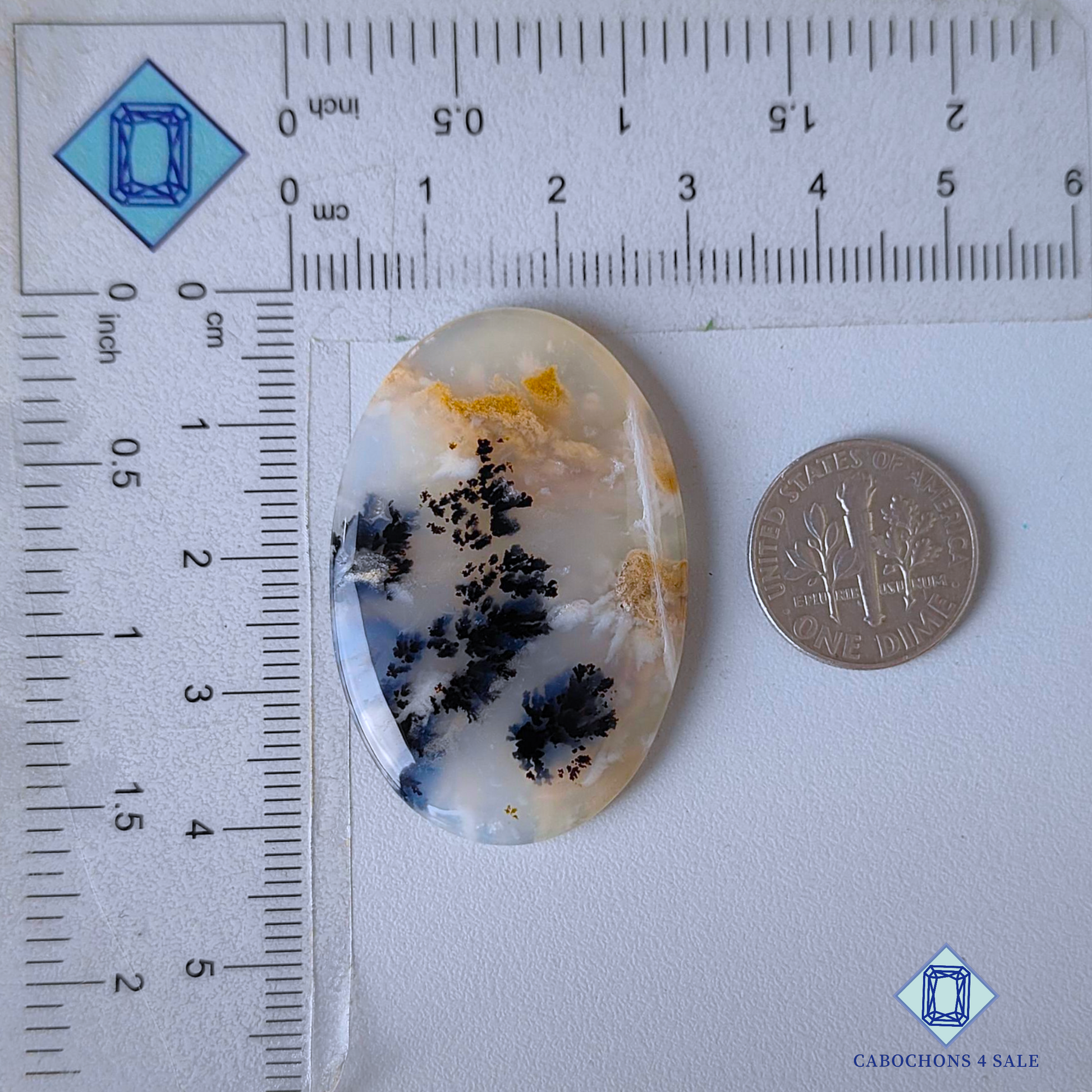 Tiger Dendritic Agate