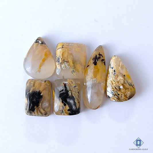 Tiger Dendritic Agate