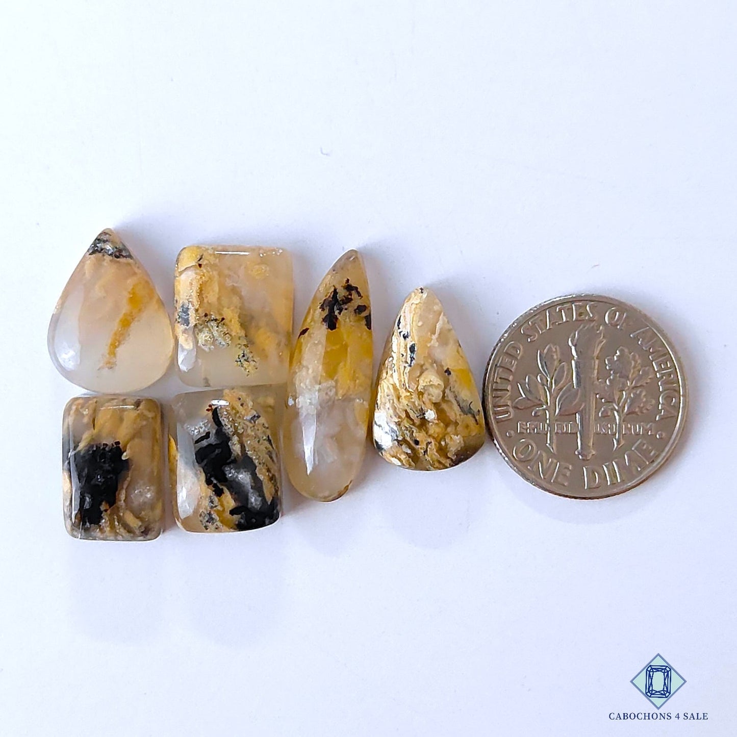 Tiger Dendritic Agate