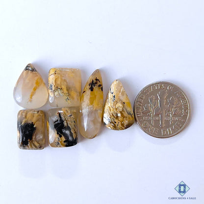 Tiger Dendritic Agate