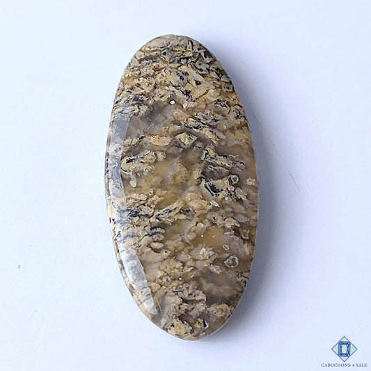 Tiger Dendritic Agate