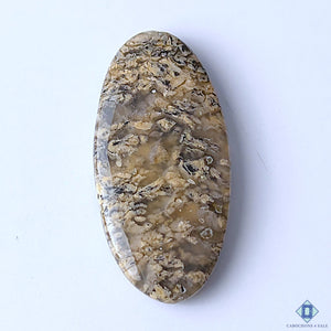 Tiger Dendritic Agate Oval Cabochons 45x10x6mm