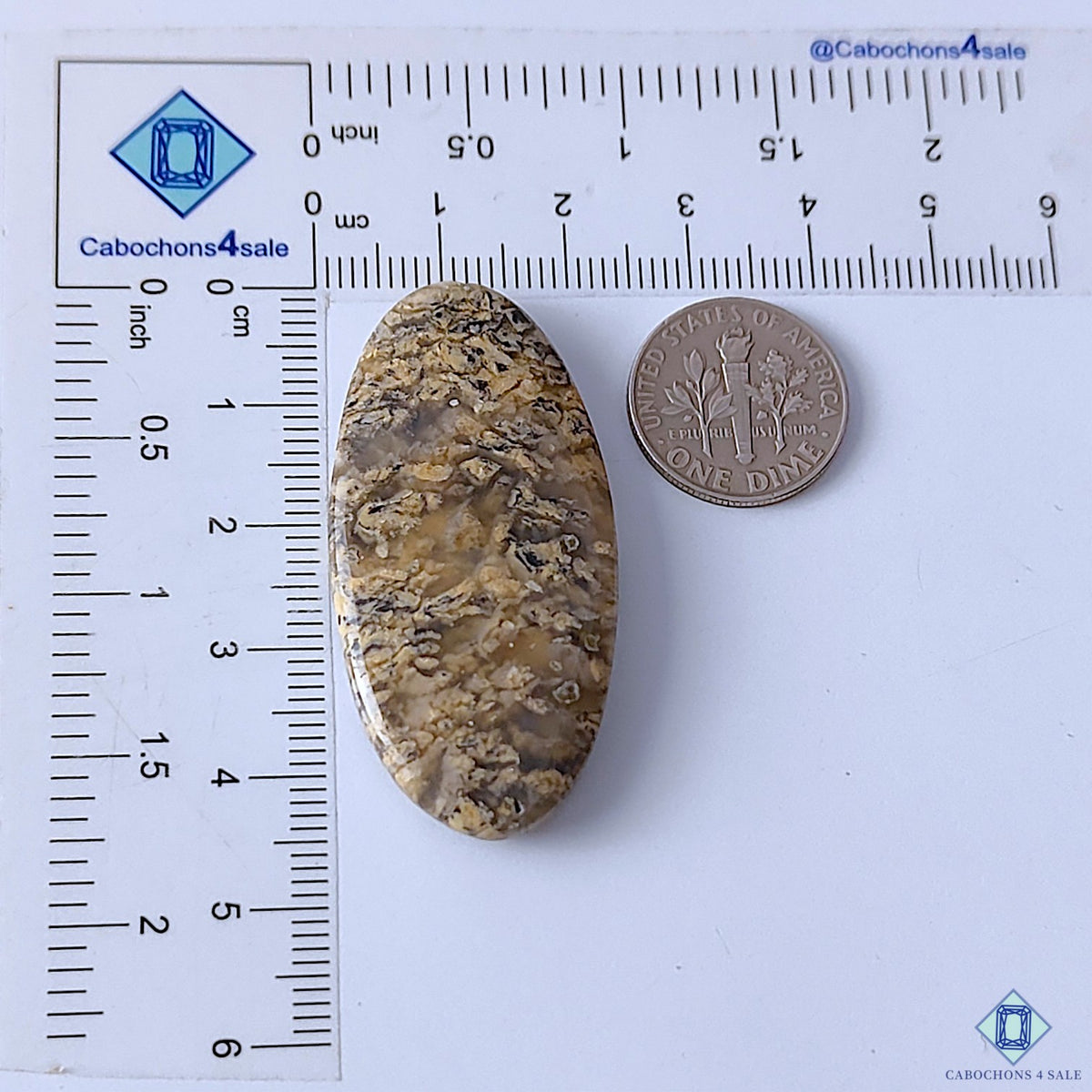 Tiger Dendritic Agate