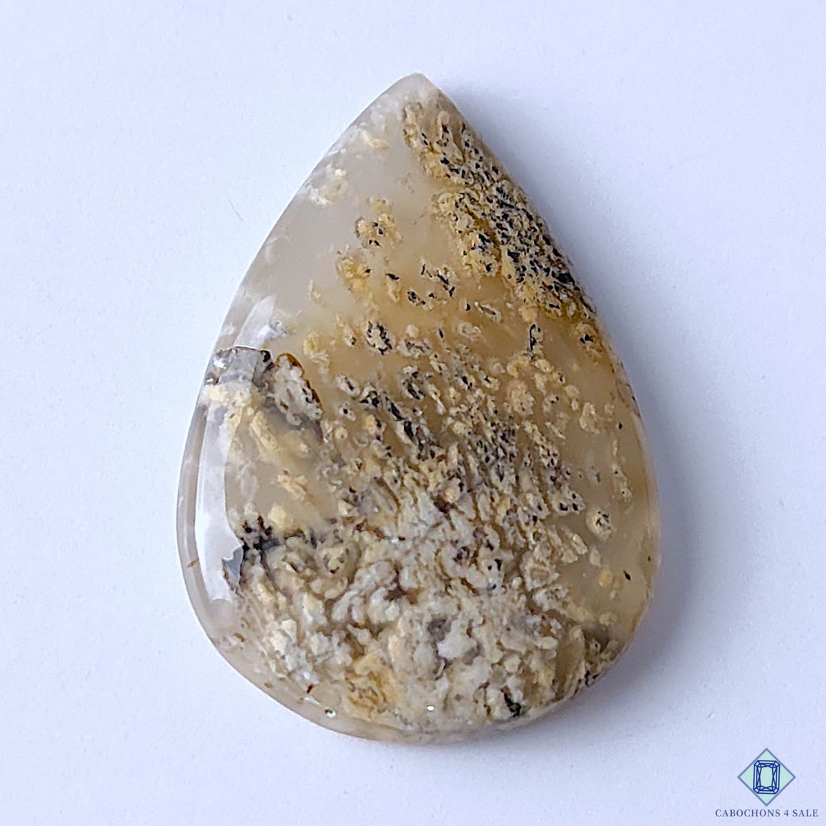 Tiger Dendritic Agate