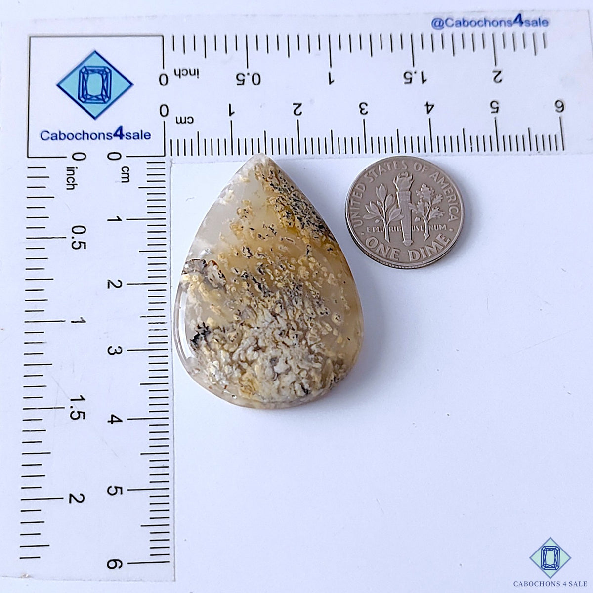 Tiger Dendritic Agate