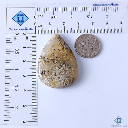 Tiger Dendritic Agate