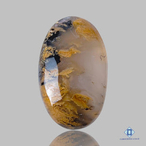Natural Tiger Dendritic Agate Gemstone Oval Cabochons 41*25*7mm from India available for sale