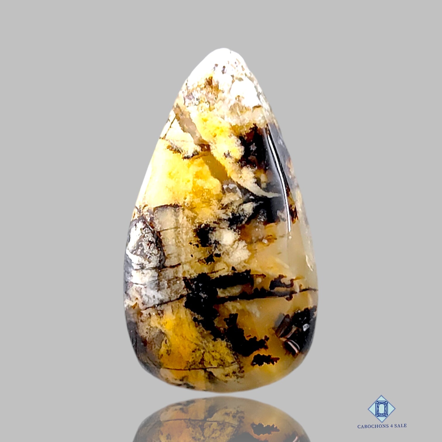 Tiger Dendritic Agate