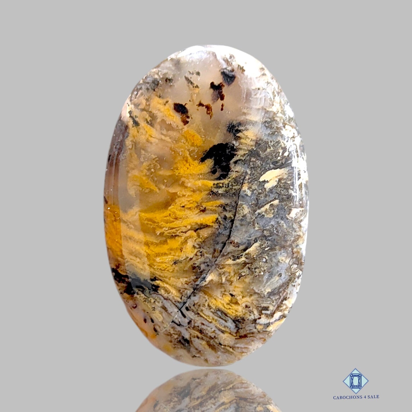 Tiger Dendritic Agate