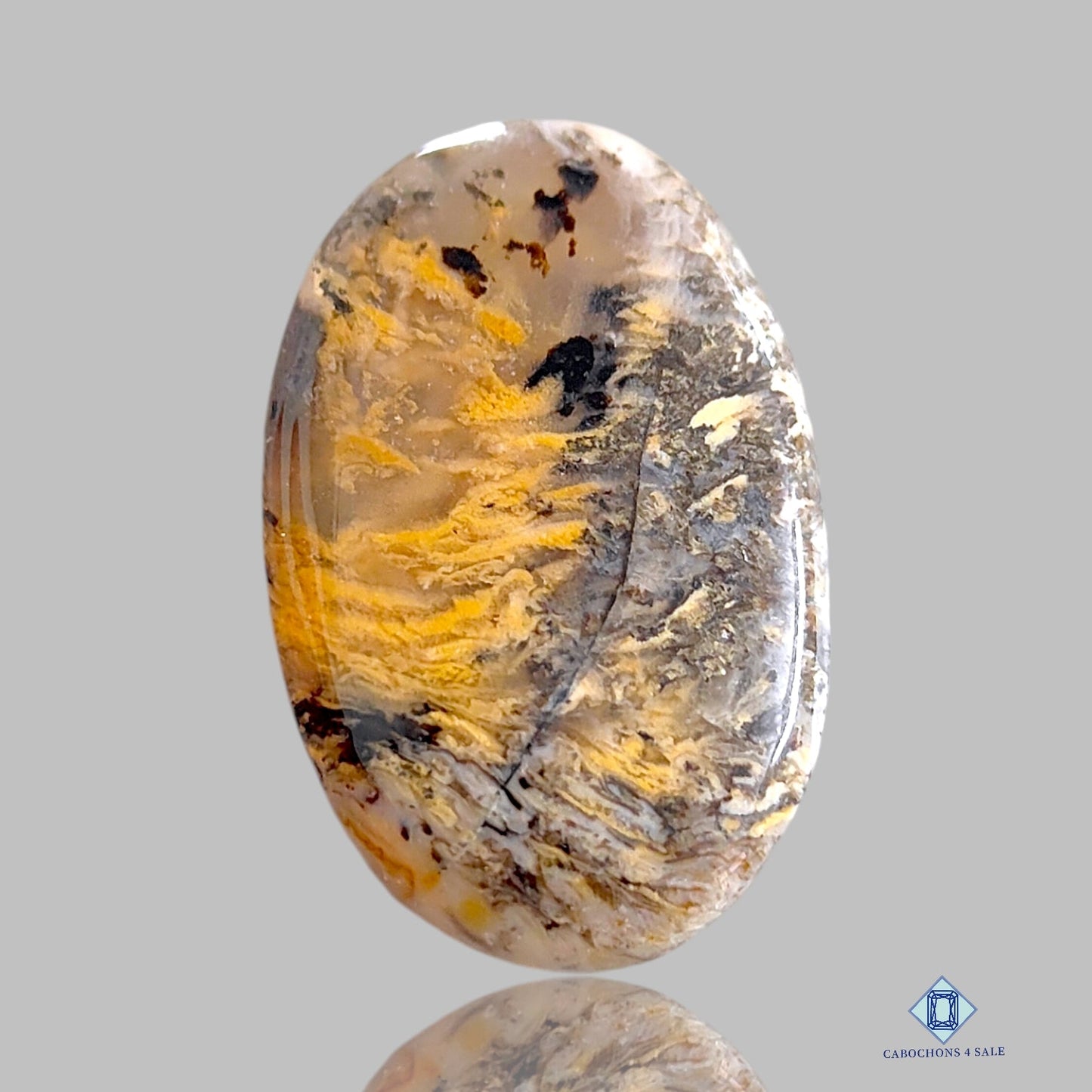 Tiger Dendritic Agate Oval Cabochons