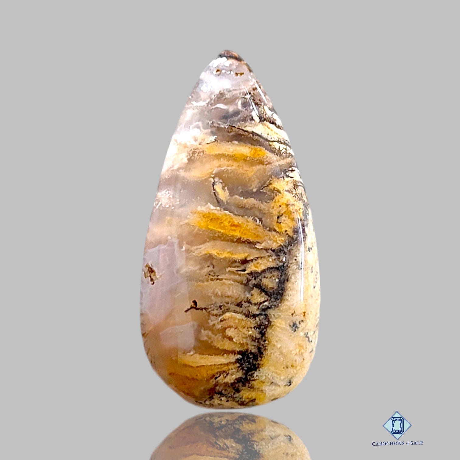 Tiger Dendritic Agate