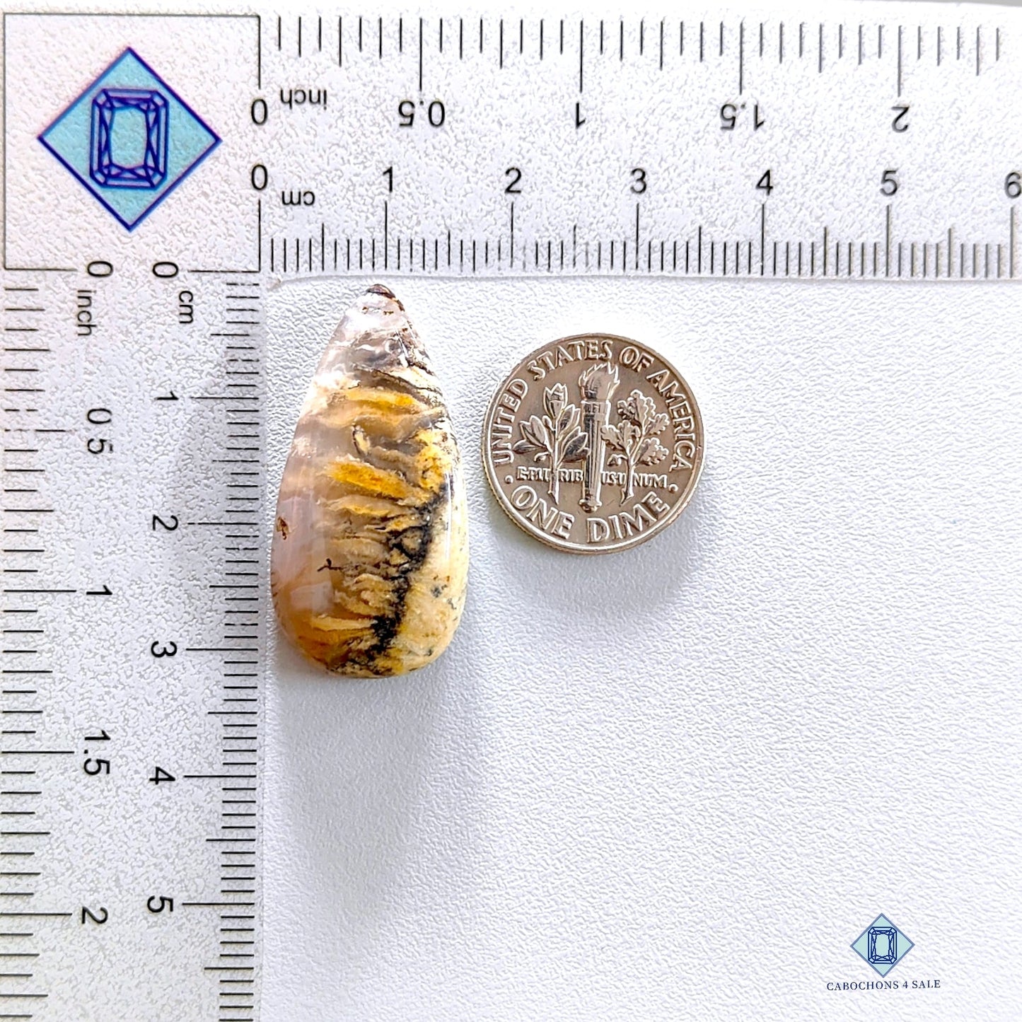 Tiger Dendritic Agate Pear Cabochons